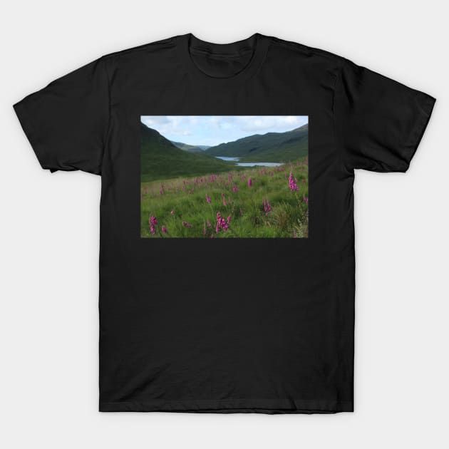 Field of foxgloves I T-Shirt by orcadia